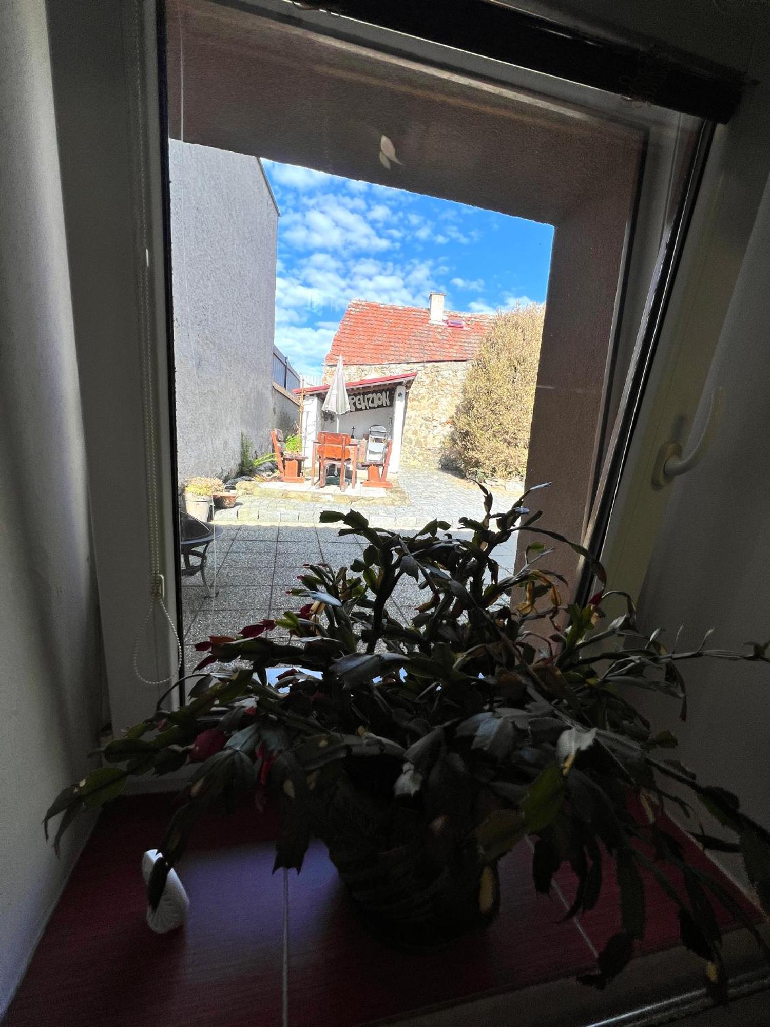 Penzion Na Ruzku Sedlcany Exterior photo